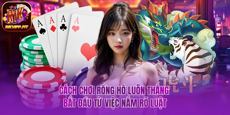 Cách chơi Rồng Hổ luôn thắng bắt đầu từ việc nắm rõ luật